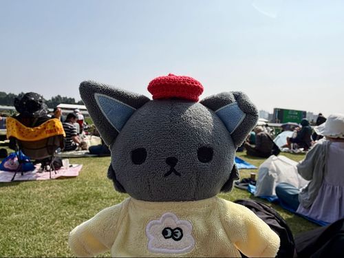 お馬さんのきょうそうを見にきたよ！
