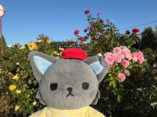 おはなとピー🌹