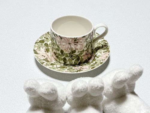🐰スポードのウィリアムモリス柄🌱
🐰これ気軽に使えていいよなー
🐰草柄だし。