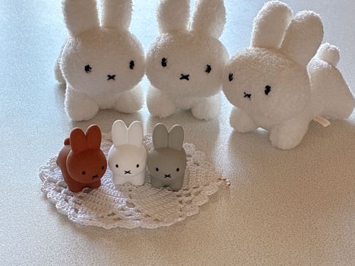 🐰みみるるてら…?
🐰小さくなった?
🐰本物どこ行った??!