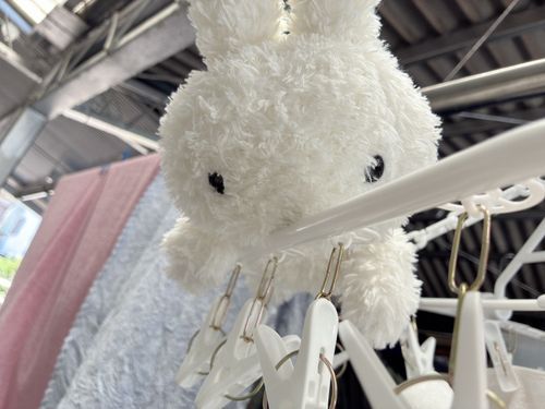 ⚪️もちこは〜ぶら下がれなかったから〜上に乗ってるの〜