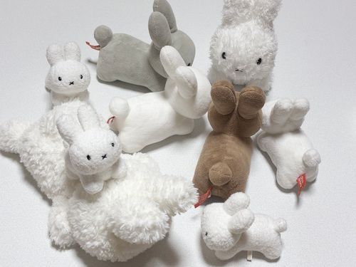 🤍🩶🤎乾いた〜！！ただいま〜！
🌾無事に皆様お戻りで…
🐰⚪️お留守番ご苦労様です！
⚪️ぐぇー
🐰あそべ！
🐰吊されて暇だったから遊べ!
🐰おきろ〜！！