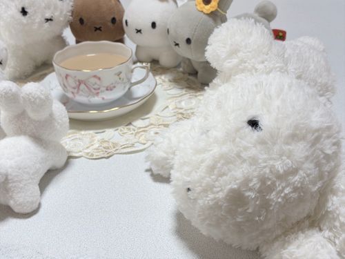 ⚪️もちこ〜だよ〜まだ〜ねむたいよ〜