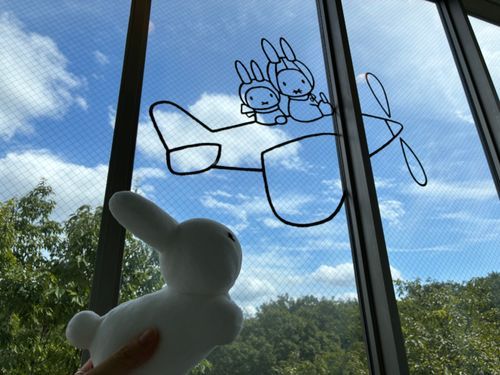 🤍わたしも空をとびたいなぁ