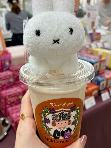 🐰本日のチャ