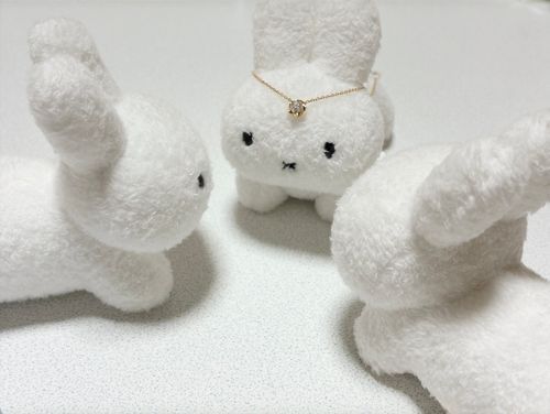 🐰ごめんね素直じゃなくって♪

🐰🐰(ネックレス置きにされてるだけだ…)