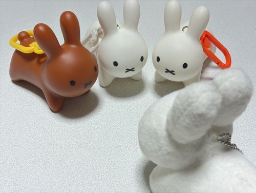 🐰⚪️君たちは…？