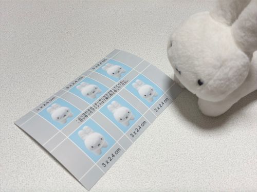 🐰⚪️証明写真？！おもち、新たに就職しなければいけませんか…？