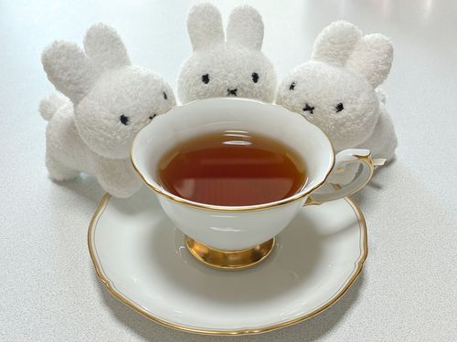 🐰🐰🐰ちゃ〜〜〜