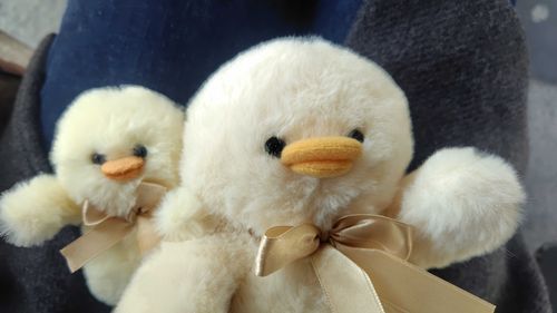 ｺﾘは今年の4月に初任給でお迎えした子たち(ちょっと不機嫌)

左からトリィとトリイ