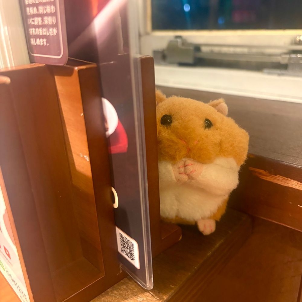 びくどんさんで おゆうはん🎶
はやめの じかんに いったら まだ らんちも やってたよ～🍽️
りすと かいぬしは いつもの ぱいんと えっぐ🍍🍳 ✨️

びくどんさんが だいすきな でんさんは かえりたく なくて めにゅの うしろに かくれちゃた💦
おみせに すみたいんだって～🤭
‪(՞ .  ̫ .՞)︎💕︎