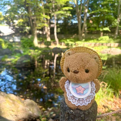 1まいめの おしゃしんは こどものひに とうきょたわーの ちかくを おさんぽ して とってもらったよ📸

2まいめと 3まいめは きょの おさんぽ🎶
おとなりの まちを たんけん したの✊✨️
てんぼうだいて かいてあったから のぼって みたけど きが いぱいで けしきが ぜんぜん みえなかったよ～💦
‪(՞ .  ̫ .՞)︎💕︎