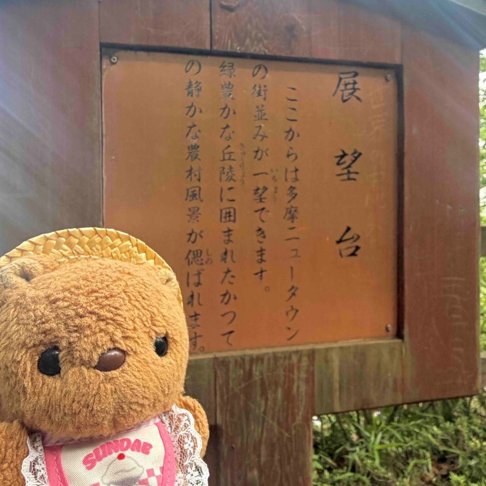1まいめの おしゃしんは こどものひに とうきょたわーの ちかくを おさんぽ して とってもらったよ📸

2まいめと 3まいめは きょの おさんぽ🎶
おとなりの まちを たんけん したの✊✨️
てんぼうだいて かいてあったから のぼって みたけど きが いぱいで けしきが ぜんぜん みえなかったよ～💦
‪(՞ .  ̫ .՞)︎💕︎