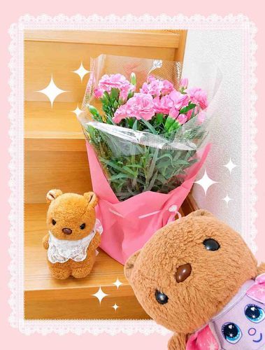 かいぬしままが また きゃらめるちゃんの おしゃしん とって くれたんだよ～📸
かいぬしが おくった ははのひの かーねしょんが とどいたんだって🎶
とっても きれいに さいてるね～💖
‪(՞ .  ̫ .՞)︎💕︎
