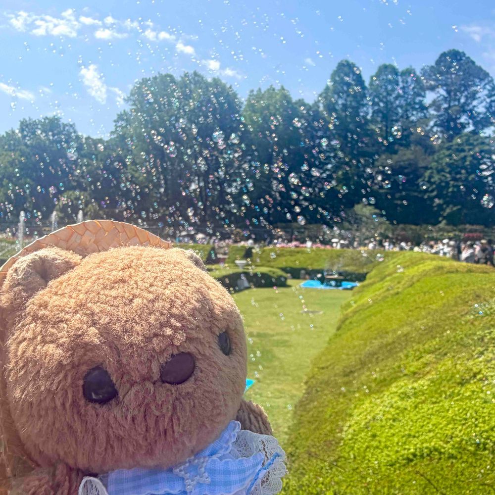 ことしも じんだいしょくぶつこうえんの ばらふぇすた いったよ～🌹
いつもより はやく はいれるひで しゃぼんだまの じかんも あったよ🫧
おしゃしん とりすぎちゃたから えらんで また とうこう するね🎶
‪(՞ .  ̫ .՞)︎💕︎