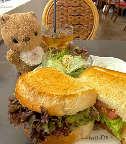 おはなの おしゃしんの つづきは また あした🎶
くいしんぼな りすは きょの おひるの おしゃしんを とうこう するよ～😋
あまからな そーすが おいしかった びーえるてぃさんど🥪✨️
かいぬし かみのけ きれいきれい しにいって とっても おなか すいてたから ぼりゅーむ たぷりで よかったね🎶
‪(՞ .  ̫ .՞)︎💕︎