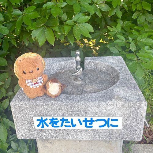 きょも あつかったよ～💦
ちゃーちゃん おぼうし わすれちゃたけど とっても げんきに あそんでたよ🎶
おみず のんで ひかげで おやすみ だいじ✨️

こうえんの かしわばあじさい さきはじめてたよ💖
かぜに ゆれて ゆらゆら
これから もっと おはなが ひらくね💠
‪(՞ .  ̫ .՞)︎💕︎