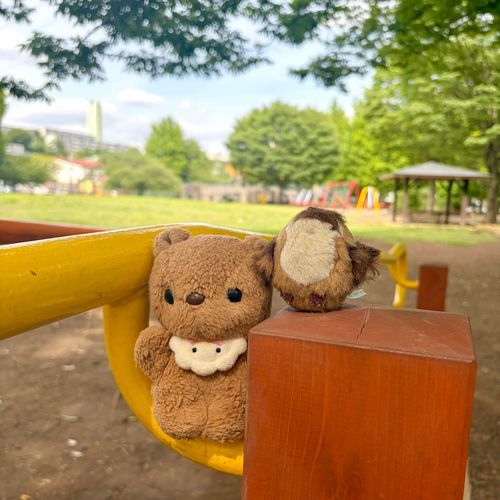 ひさしぶりに おひさま げんき☀️
おかいものの あと こうえんで あそんだよ🎶
とっても たのしかった から ちゃーちゃんは おうちに かえるの きょひ✋
だだっこして たかいところ のぼっちゃた💦
‪(՞ .  ̫ .՞)︎💕︎