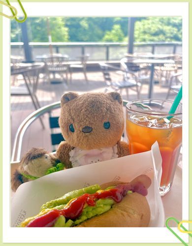 きょは くもり だったけど おそとで らんちが きもちよかったよ💖
あめの きせつが くるから おそと たのしんで おきたいな～🎶

かいぬし ほんとに うっかりが おおくて ルゥてんちょの おみせで かった ちゃーちゃんの きいろい およふく どこかで なくしちゃた みたいなの💦
りすも いっしょに さがしたけど みつからないんだあ😢
‪(՞ .  ̫ .՞)︎💕︎
