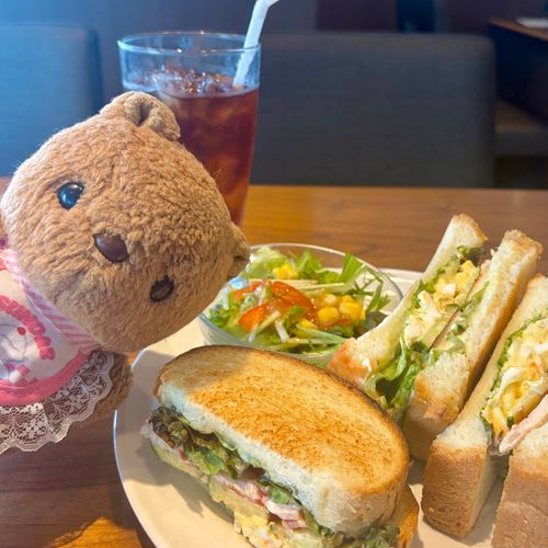 きょは おでかけの よてい だったけど でんしゃが とちゅうで とまっちゃた💦
うごくまで 1じかんいじょ かかるて いうし にんげんさん みんな でんしゃ おりなきゃ いけなく なちゃたの😢

おひる たべて なかったから おりた えきの ちかくの おみせで さんどいっち🥪✨️
でんしゃ うごくの とっても おくれて きょの おでかけは あしたに へんこう なったよ～💦
‪(՞ .  ̫ .՞)︎💕︎