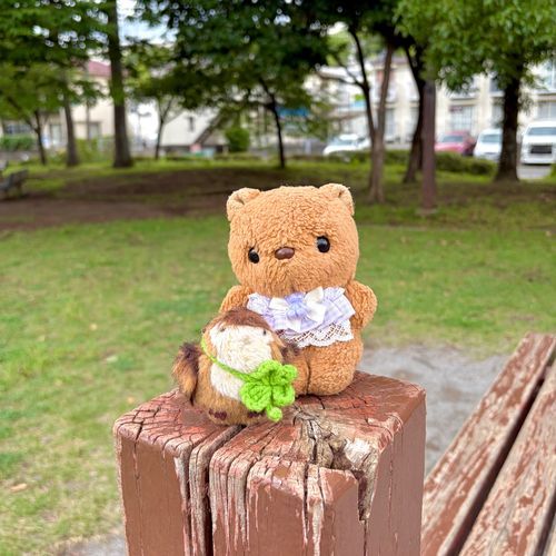 くもりの いちにち でも たのしく おさんぽ したよ💖
たいふうで おはなが しんぱい だったけど あじさいさんは げんきだね🎶

4まいめの おしゃしんは きのう もらった ふくしまの おみやげ✨️
ふわふわきじに くりーむが とっても おいしくて ひとはこ すぐ なくなっちゃいそだよ～🤤
‪(՞ .  ̫ .՞)︎💕︎