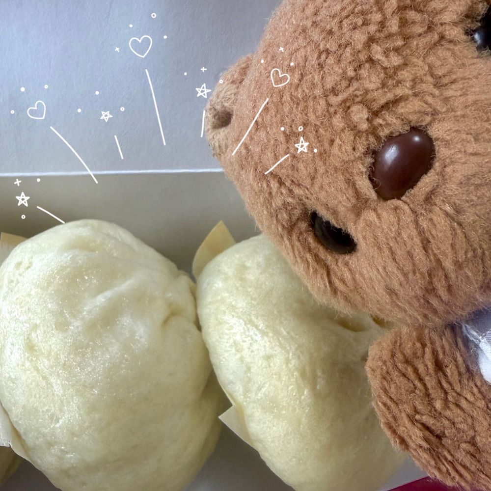 おおさかの おみやげ もらったよ～✨️
551さんの ぶたまんに ちまきに しゅまいに… かいぬしの だいすきな たこぱてぃえも あるよ～💖
おいしもの いぱい みんなで なかよく たべよね🎶
‪(՞ .  ̫ .՞)︎💕︎