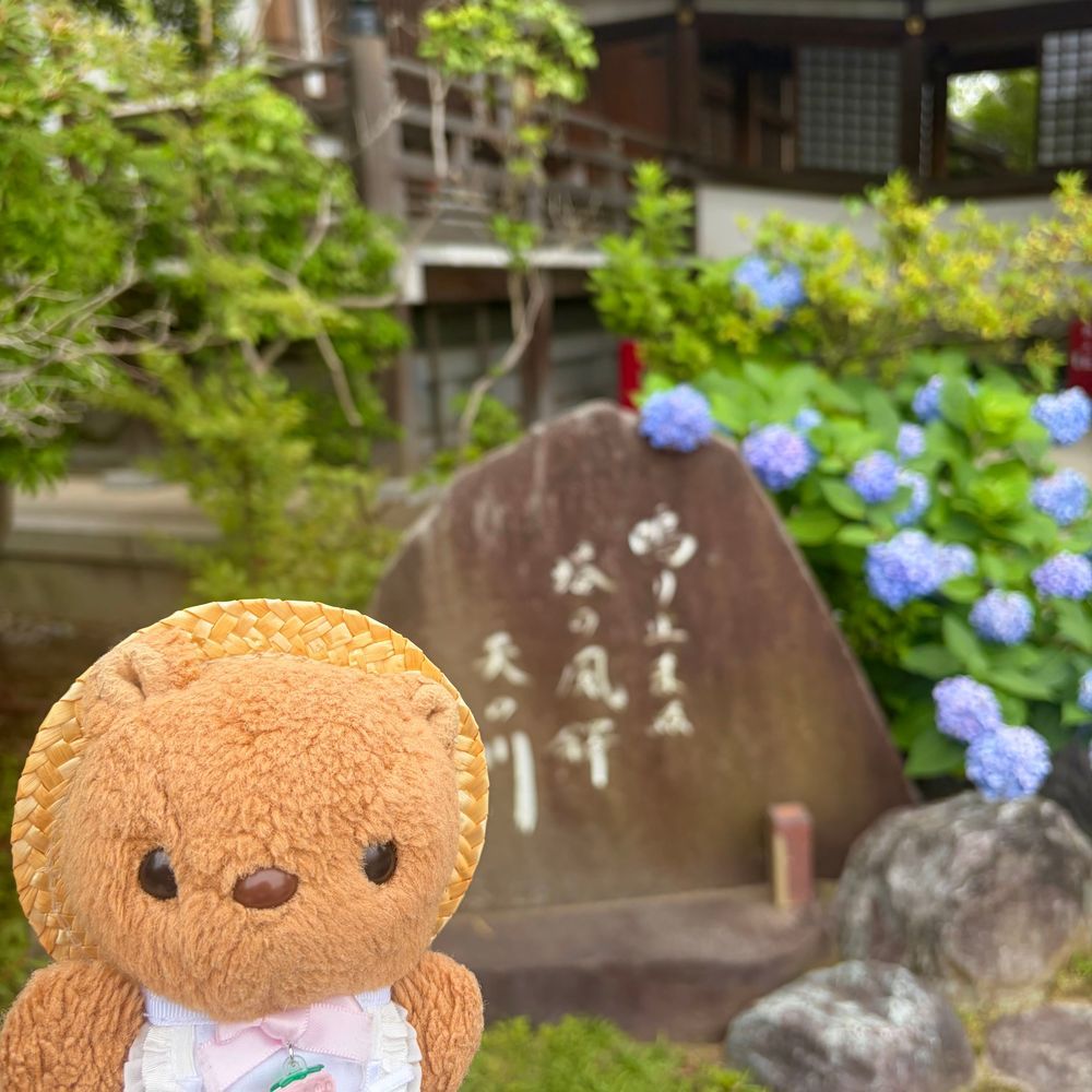 🐿あじさいまつり おしゃしん 2🐿

りすは いろんな おいろの あじさいさんに かこまれてる 1まいめの おしゃしんが とっても おきにいり💖
たかはたふどうは うらの ちちゃな おやまの なかも やまあじさいが い～ぱい さいてるよ🎶
ぜんぶで 250しゅるいも あるんだって～✨️
かしわばあじさいも とっても きれい だったから また あした おしゃしん とうこう するね🎶
‪(՞ .  ̫ .՞)︎💕︎