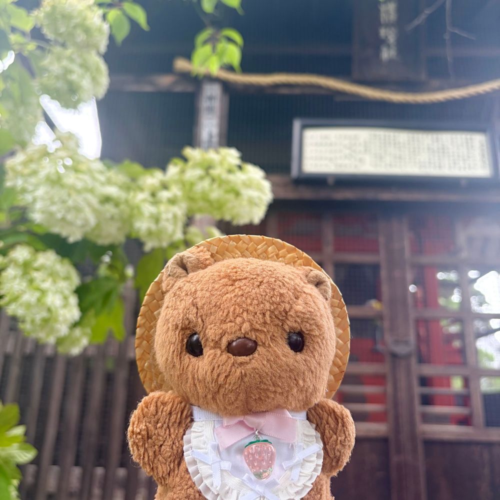 🐿あじさいまつり おしゃしん3🐿
いろが かわりはじめた かしわばあじさい と~っても きれいで かんどう しちゃた🥹
これから もっと ぴんくに なって みどりが まざって すてきな あんてぃーくからーに なって いくね💖
こんかいも おしゃしん いぱい みてくれて ありがとだよ~🎶
かいぬしは にたよな おしゃしんが おおく なちゃたの はんせい してるんだって🤭
さっき おっきな じしんが あったけど みんなの おうちの ほうは だいじょぶかな?
(՞ . ̫ .՞)︎💕︎