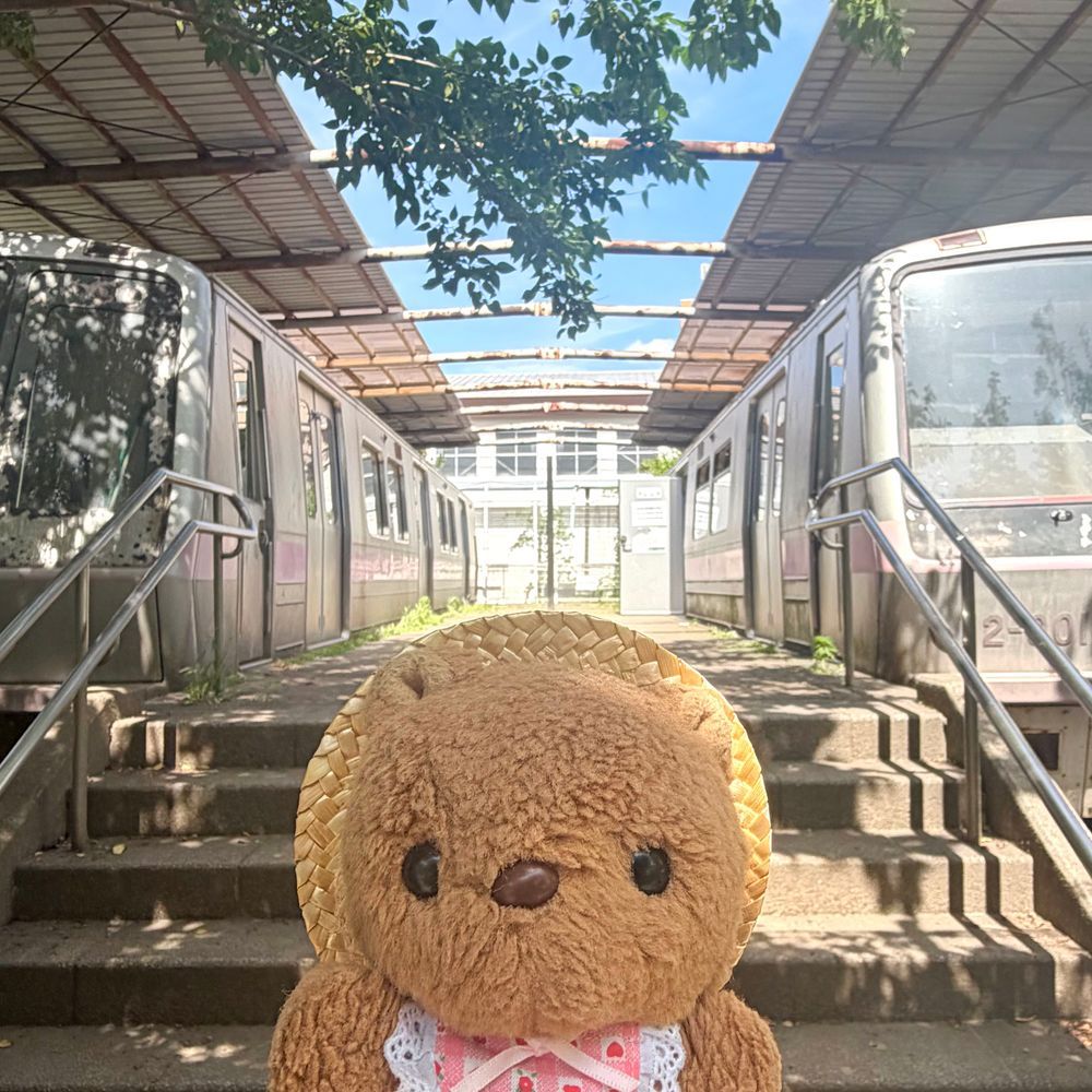 きのうの おしゃしん🐿

えを みたあとは びじゅつかんの かふぇで くるみの ぱうんどけーき たべるのも まいとしの たのしみ なんだよ～🎶
せんせの むすめさん てづくりの かっぷと おさらが あったかくて とっても すてき なの💖

かえりは でんしゃが ある こうえんで あそんだよ🚃
だれも のってない でんしゃて なんだか どきどき するね～🎶
ちゃーちゃん たのしくて また きたく きょひ✋しちゃた💦
‪(՞ .  ̫ .՞)︎💕︎