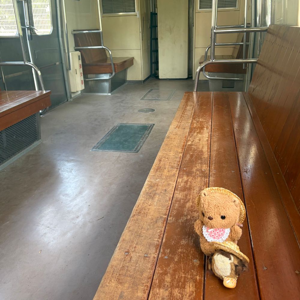 きのうの おしゃしん🐿

えを みたあとは びじゅつかんの かふぇで くるみの ぱうんどけーき たべるのも まいとしの たのしみ なんだよ～🎶
せんせの むすめさん てづくりの かっぷと おさらが あったかくて とっても すてき なの💖

かえりは でんしゃが ある こうえんで あそんだよ🚃
だれも のってない でんしゃて なんだか どきどき するね～🎶
ちゃーちゃん たのしくて また きたく きょひ✋しちゃた💦
‪(՞ .  ̫ .՞)︎💕︎