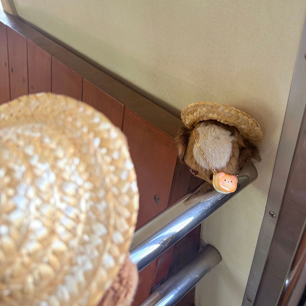 きのうの おしゃしん🐿

えを みたあとは びじゅつかんの かふぇで くるみの ぱうんどけーき たべるのも まいとしの たのしみ なんだよ～🎶
せんせの むすめさん てづくりの かっぷと おさらが あったかくて とっても すてき なの💖

かえりは でんしゃが ある こうえんで あそんだよ🚃
だれも のってない でんしゃて なんだか どきどき するね～🎶
ちゃーちゃん たのしくて また きたく きょひ✋しちゃた💦
‪(՞ .  ̫ .՞)︎💕︎