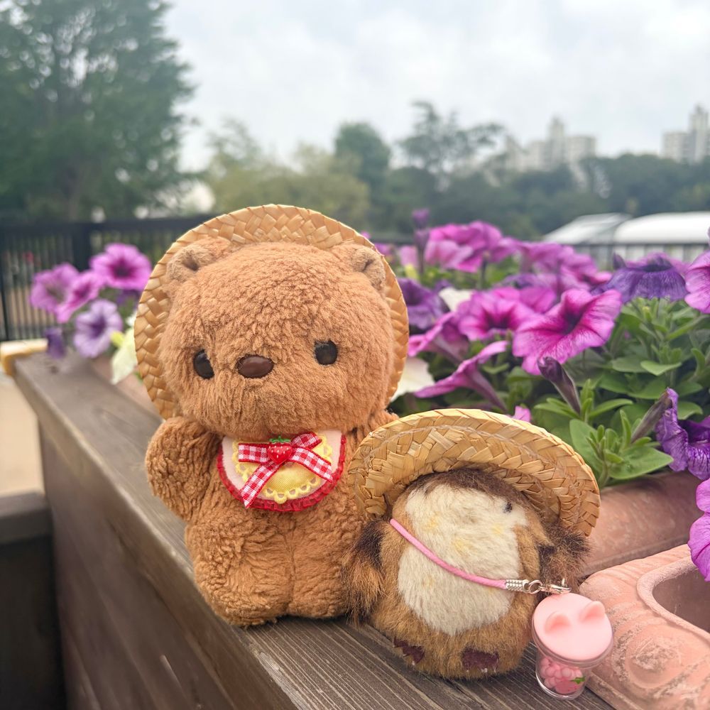 いちにち くもりで じめじめ あつかったよ💦
おひさま はやく あいたいなあ…
おさんぽこーすの しょくぶつえん きょは おやすみ だったけど とっても かわい ふうりんそうの おはな みつけて うれしかったよ～💖
‪(՞ .  ̫ .՞)︎💕︎
