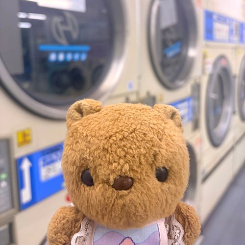 きょも あめ☔️
こんいらんどりで おっきな おせんたくを かわかして きたよ🧺
ほかほかな しーつと たおるけっと とっても きもちいね🎶
はやく おひさま あえると いいなあ☀️
‪(՞ .  ̫ .՞)︎💕︎