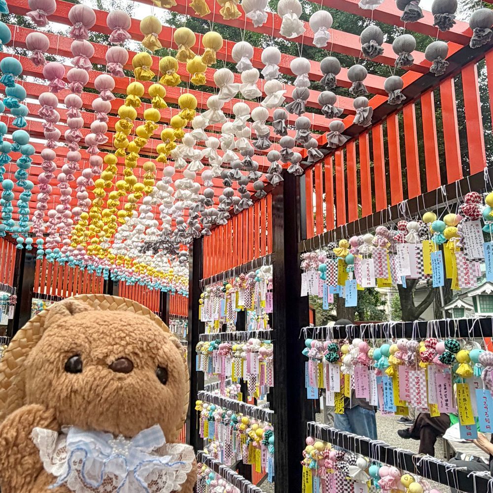 ことしも たなしじんじゃの てるてるとんねる いってきたよ～💖
おしゃしん いぱい とったから また あした とうこう するね📸

きょは とっても むしむし あつかったけど てるてるぼうずさんたちに あえて うれしく なちゃた🎶
‪(՞ .  ̫ .՞)︎💕︎