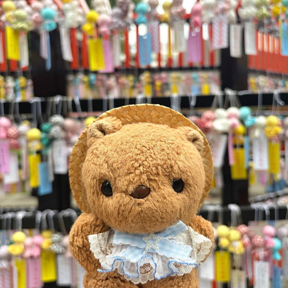 きのうの おしゃしん つづき🐿

りすも たなばたの おねがいごと してきたよ～🎋✨️
てるてるぼうずさんの ぷーるの なかから すきな おいろを えらんで たんざくに かくのᝰ✍🏻
かわい おまもりも かってもらって うきうき💖

おまいりの あとの おしゃしんも また あした とうこう するね～🎶
‪(՞ .  ̫ .՞)︎💕︎