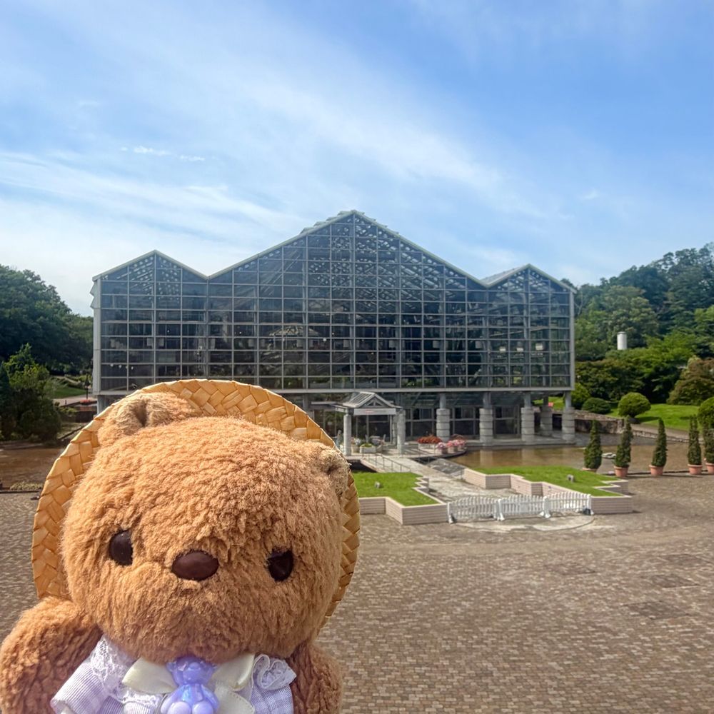 とっても おっきな こうえん あそびに いったよ～💖
こうえんの なかに しょくぶつえんも あるの🌿
しょくぶつえんと いえば りすちゃん たんけんたいの しゅつどう だよ～✊✨️
じゃんぐる たんけんの おしゃしんは また あした とうこう するね🎶
‪(՞ .  ̫ .՞)︎💕︎