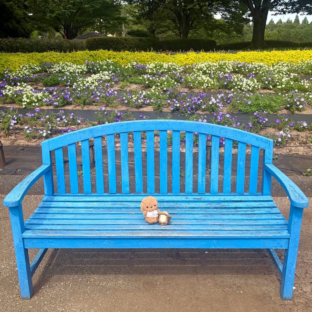 とっても おっきな こうえん あそびに いったよ～💖
こうえんの なかに しょくぶつえんも あるの🌿
しょくぶつえんと いえば りすちゃん たんけんたいの しゅつどう だよ～✊✨️
じゃんぐる たんけんの おしゃしんは また あした とうこう するね🎶
‪(՞ .  ̫ .՞)︎💕︎