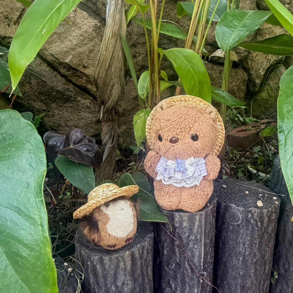 とっても おっきな こうえん あそびに いったよ～💖
こうえんの なかに しょくぶつえんも あるの🌿
しょくぶつえんと いえば りすちゃん たんけんたいの しゅつどう だよ～✊✨️
じゃんぐる たんけんの おしゃしんは また あした とうこう するね🎶
‪(՞ .  ̫ .՞)︎💕︎