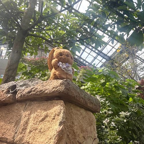 🐿りすちゃんたんけんたいの ぼうけん その1🐿

1まいめ
しゅっぱつの あさ きりりな おかおで けついする りすちゃんたいちょ✨️

2まいめ 3まいめ
しょくりょうの ばななを はっけん🍌
ちゃーちゃんたいいんは ばななに むちゅうに なり とつぜんの だだっこ

4まいめ
けわしい じゃんぐるを りすちゃんたいちょ ひとりで すすむことに⋯‼️

つづきは また あした🎶
‪(՞ .  ̫ .՞)︎💕︎