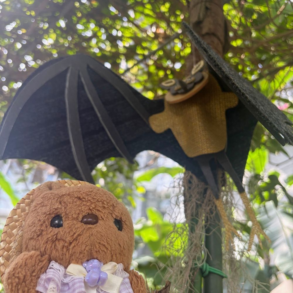 🐿りすちゃんたんけんたいの ぼうけん その3🐿
1まいめ
おみずの ほきゅうの ため たきに むかった りすちゃんたいちょ
たきの まわりでは きらきらの いしょうを みにつけた なぞの ぶぞく “こすぷれいやーさん”に そうぐう‼️
しばらく ようすを みていたが たのしそうに さっていった⋯
2まいめ
また みちの しょくぶつ⋯⋯ いや おっきな きゅうけつ こうもりだ‼️
ききいっぱつの りすちゃんたいちょ
3まいめ
こうもりから にげだし たびびとのきを みちしるべに じゃんぐるを すすむ⋯‼️
4まいめ
ようやく じゃんぐるを ぬけて さぼてんの むらに とうちゃく
いつのまにか さきに とうちゃく していた ちゃーちゃんたいいんと ぶじに ごうりゅう‼️
どうやって たどりついたのか⋯⁉️
これにて りすちゃんたんけんたいの ぼうけんは しゅうりょう💖
つぎの ぼうけんは いつに なるのかな🎶
(՞ . ̫ .՞)💕みんな みてくれて ありがとだよ~︎💕︎