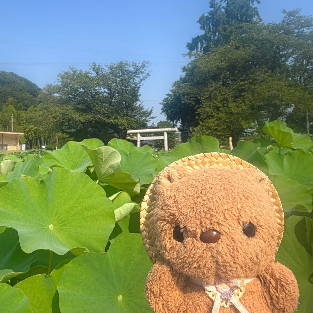 きょは おさんぽ できなかったから まえに とった おしゃしん のせるよ～📸

1まいめは こうえんで おっきな りすさんと なかよし なった きねんに とったよ🫶✨️

2まいめからは きのうの おしゃしん📸
おみずの でる ところが ばんざいの ぽーず みたいでしょ🤭
りすと ちゃーちゃんも おんなじ ぽーず🎶
らいねんは はすの たんぼ おはな いぱい さいてると いいなあ✨️
‪(՞ .  ̫ .՞)︎💕︎