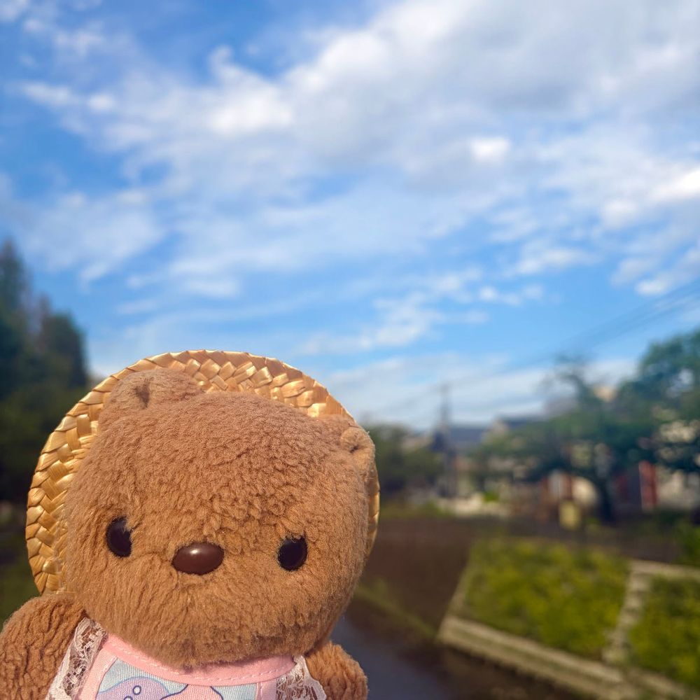 きょは おひると よる 2かいも げりらごうう あって びっくり しちゃたよ～💦
おそら ごきげん わるいね💦

ゆうがた おかいもの いったときは おそら きれい だったなあ✨️
6がつに みごろで まっしろ だった かしわばあじさいが こんなに すてきな おいろに へんしん したよ～💖
‪(՞ .  ̫ .՞)︎💕︎