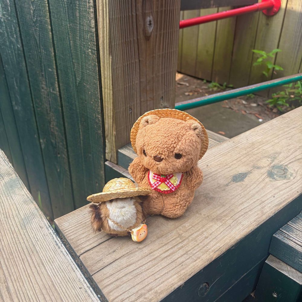 1まいめの おしゃしんは こうえんで げんき すぎる ちゃーちゃんを みまもる りすだよ🤭
きょは ゆうがた あめの よほう だったから はやめに おかいものと おさんぽ したの🎶
あちあちの あちあちで こうえんは にんげんさんが いなかったよ～💦
‪(՞ .  ̫ .՞)︎💕︎