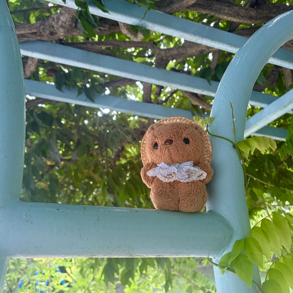 きょは ごはんの おかいもの いって ちょとだけ こうえんに よったよ🎶
りすと ちゃーちゃん かっこい おしゃしん とって もらったの✨️
みどりの したに いると すずしねえ🌿
かえりみち しろい さるすべりの おはなも みつけたよ~💖
(՞ . ̫ .՞)︎💕︎