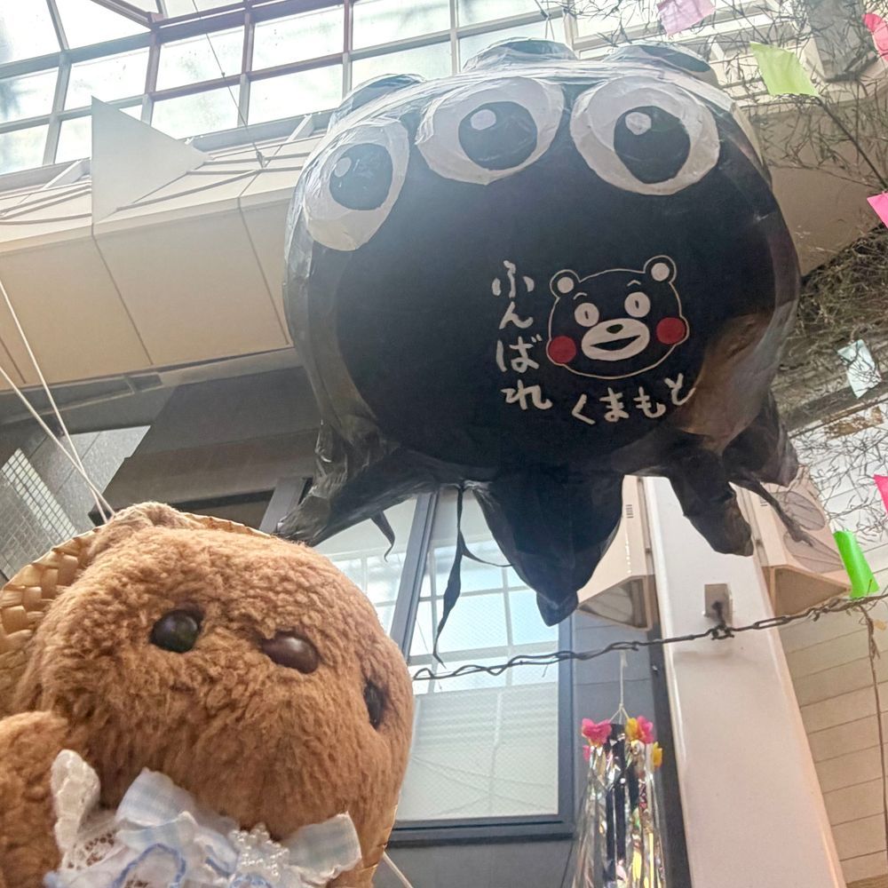 きょは かいぬしの おえかきの あと たなばたまつり いってきたよ～🎋💫
おひるの あちあちな じかん だったけど とっても にぎやか✨️
ことしも おっきくて たのし はりぼてが いぱい あったよ🎶
おしゃしん えらんで また あした とうこう するね～💖
‪(՞ .  ̫ .՞)︎💕︎