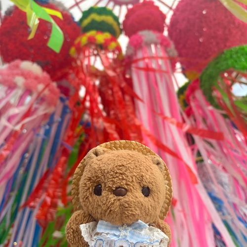 きょは かいぬしの おえかきの あと たなばたまつり いってきたよ～🎋💫
おひるの あちあちな じかん だったけど とっても にぎやか✨️
ことしも おっきくて たのし はりぼてが いぱい あったよ🎶
おしゃしん えらんで また あした とうこう するね～💖
‪(՞ .  ̫ .՞)︎💕︎