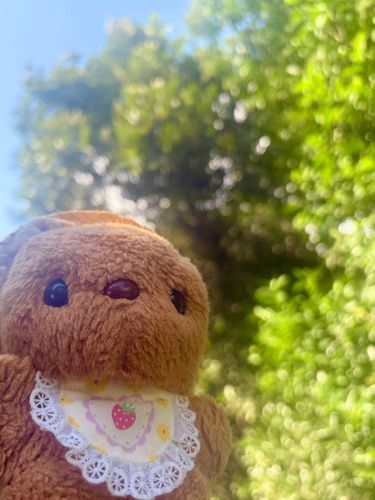 きょは おひるに あおぞら なって ちょとだけ おさんぽ できたの🎶
でも ゆうがた おおあめ ふったり やんだりの くりかえしで へんな たいふう だったよ～🌀
あしたも まだ あめが ふるみたい だから おそとで あそべないかなあ💦
‪(՞ .  ̫ .՞)︎💕︎