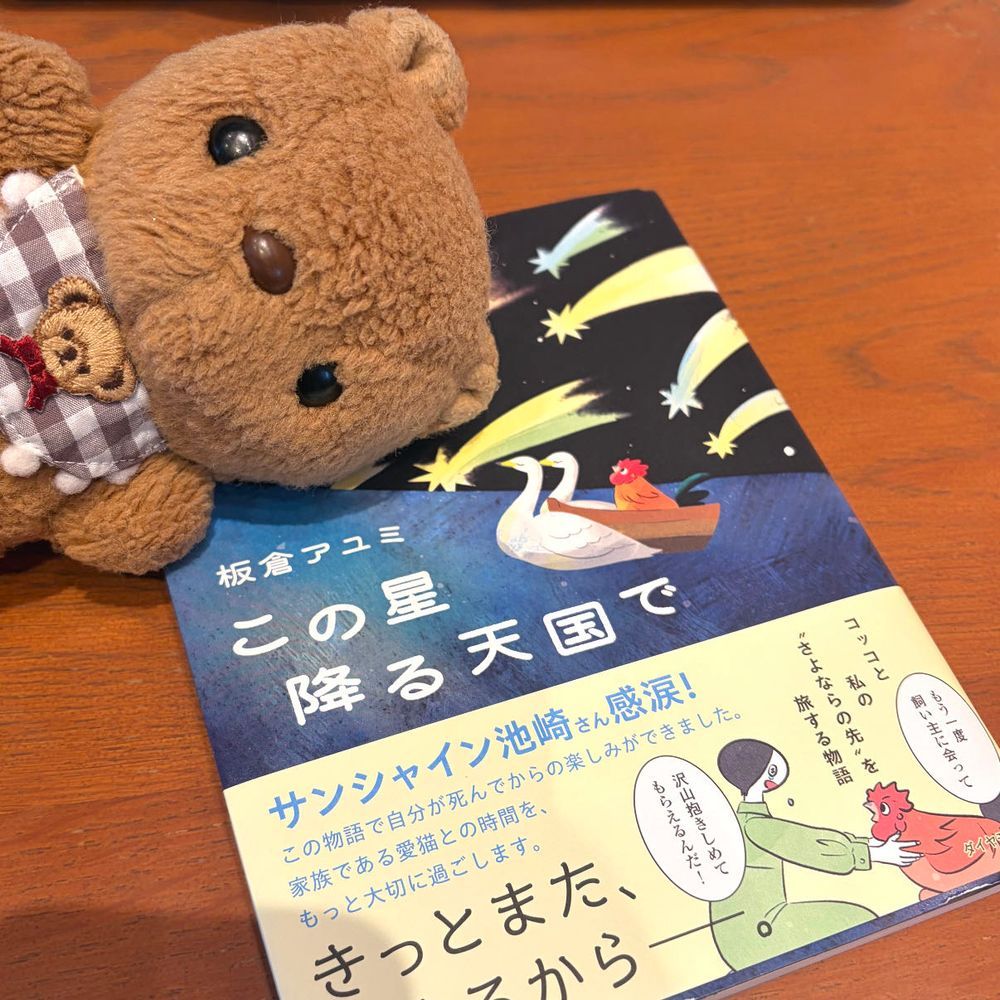 きょ ほんやさんで かった ごほん📕
かいぬしが いつも えっくすで おしゃしん みてて だいすきだった にわとりの こっこちゃんが きゅうに てんごくに おひっこし しちゃたんだあ🥲
この ごほんは こっこちゃんが かいぬしさんと また あいたくて てんごくを たびする おはなしなの✨️
いっしょに くらしてた どうぶつさんと おわかれ しちゃた にんげんさんに よんで もらえたら いいなあて おもって ごしょうかい したよ✨️
ほんやさん いったあとは すたばさんで おやつたいむ☕️
れもんけーき おいしかったあ💖
おうち かえったあと びっくり するくらい おおあめ ふって こわかったよ~!
おそら ずっと おかしいね💦
(՞ . ̫ .՞)︎💕︎