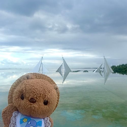 きのうは かさいの すいぞくかんにいったよ～🐟
おぼんやすみで にんげんさんが い～ぱい👀‼️

かいぬしが なんだか ばたばた してたから あした また おしゃしん とうこう するね🎶
‪(՞ .  ̫ .՞)︎💕︎