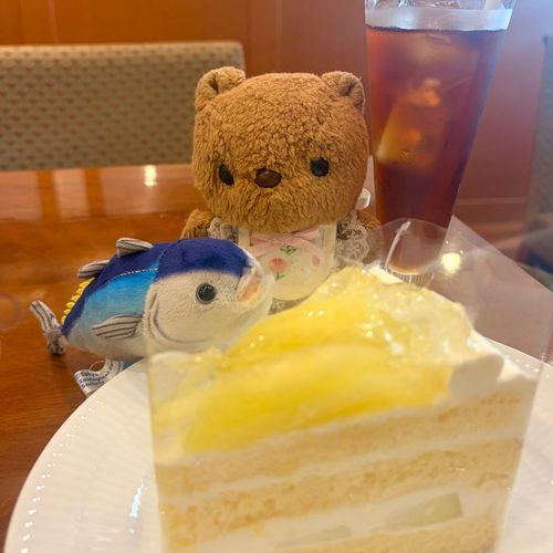 すいぞくかんで おともだち なった まぐろさんと おでかけ したよ💖
すぽんじ ふわふわの めろんけーき おいしかったね🍈✨️

おうちに かえったら かいぬしまま から おなし とどいてたの✨️
みんなで はこに はいって おいしさ ちぇっく だよ～🎶
‪(՞ .  ̫ .՞)︎💕︎
